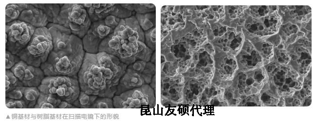 福建蔡司福建扫描电镜